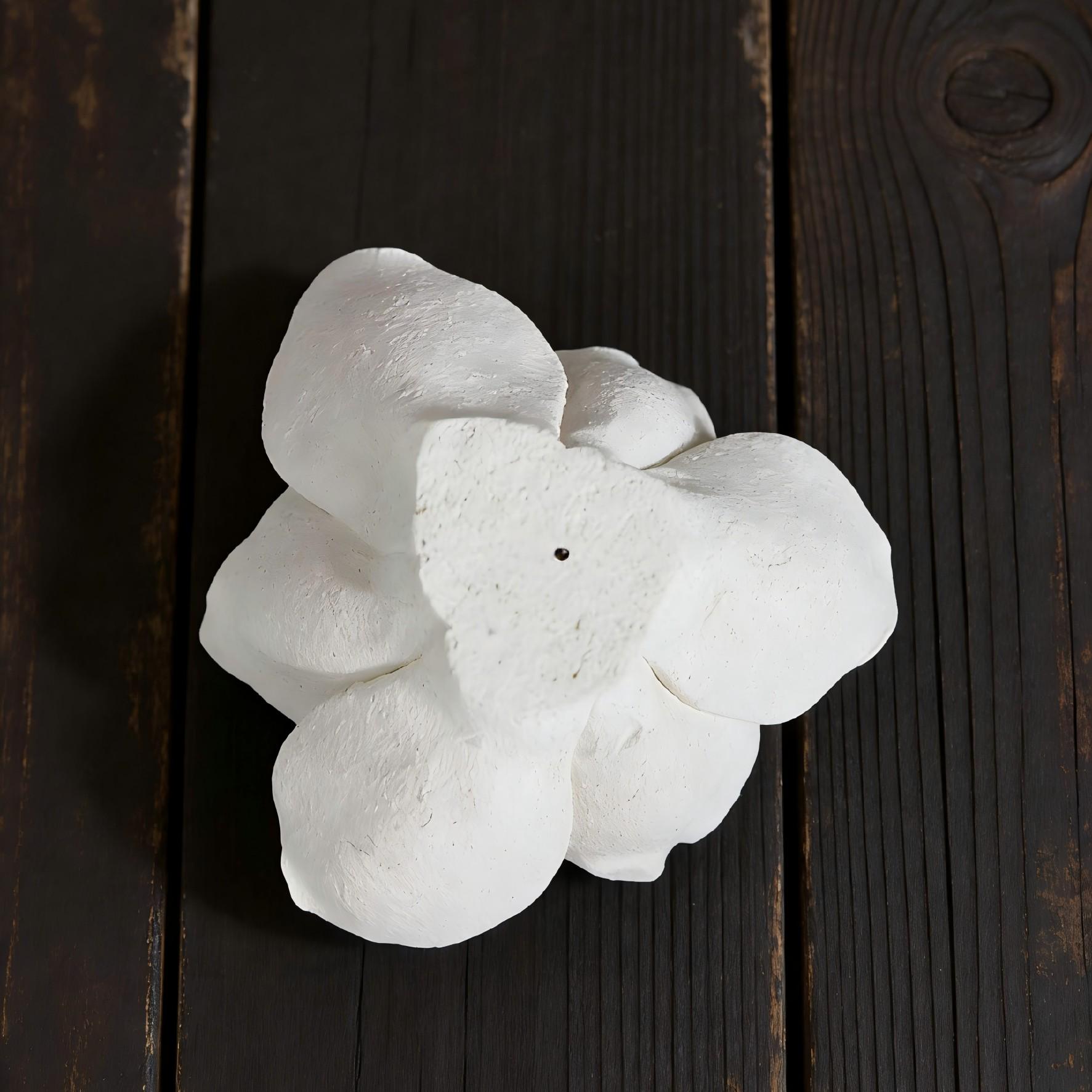 [Magnolia Drift] Handmade Ceramic Flower Home Decor, Unique Artisan Gift and Incense Holder, Creative Artistic Collectible