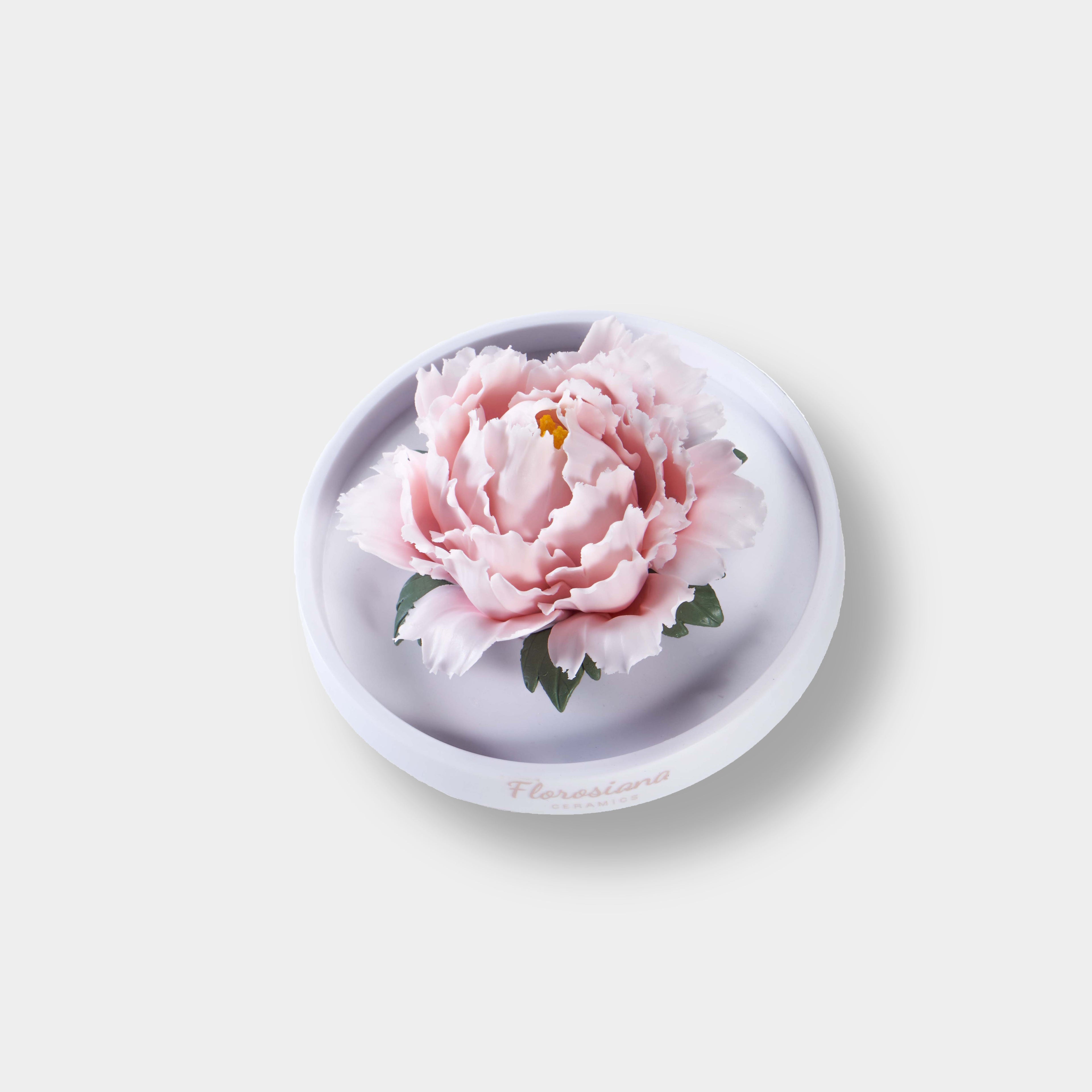 Porcelain Peony Art