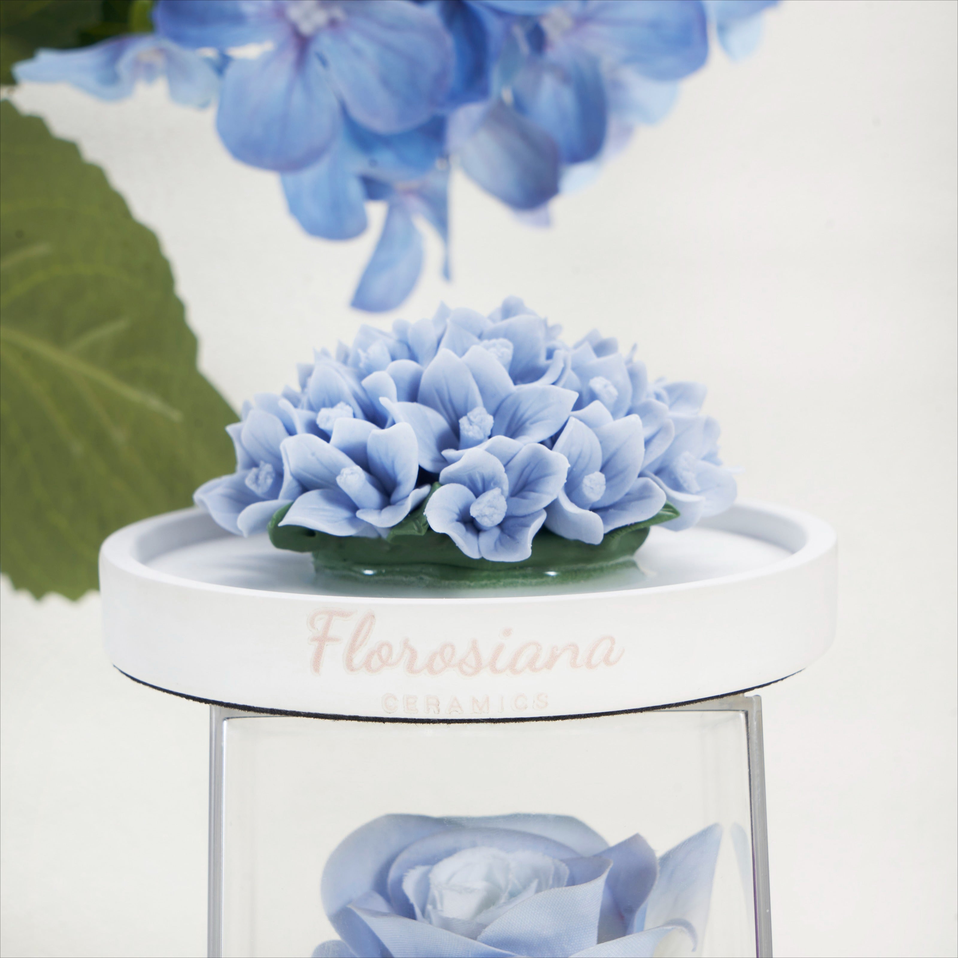 Petals of the Cerulean Sea