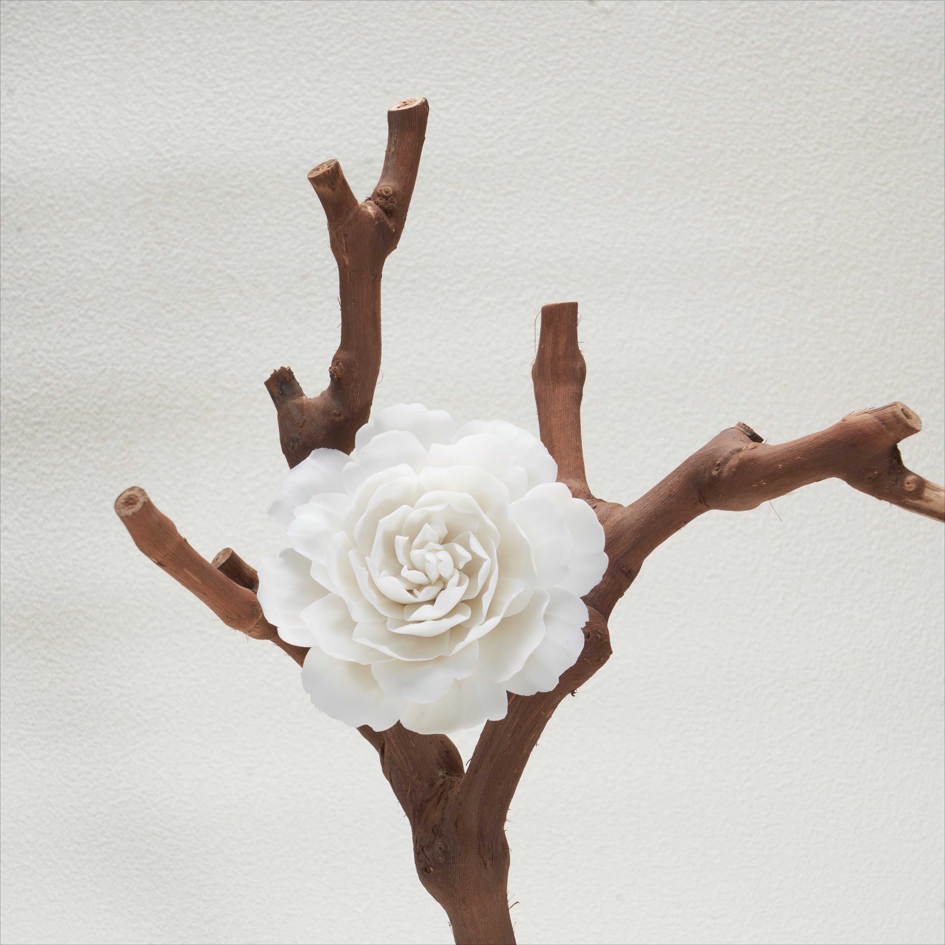 Ethereal Bloom in White Porcelain